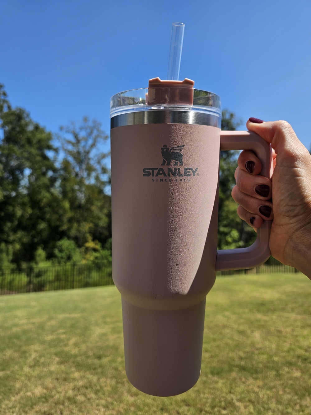 OG Blush Stanley 40 Oz Tumbler